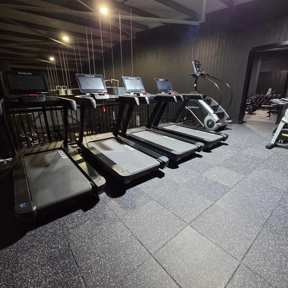 Evolve treadmills and a StairMaster on the upper floor